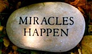 Miracles Among Us